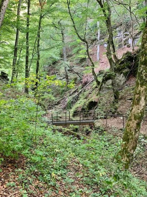 Albliebe Messstetten